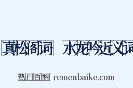 真松阁词·水龙吟近义词是什么意思的图片